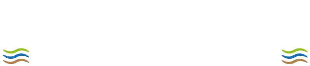 light logo